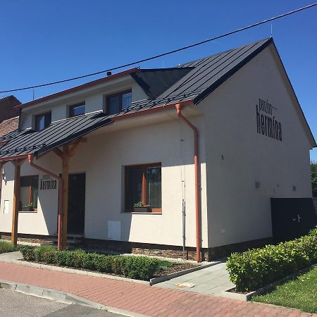 Penzion Hermina Veselí nad Moravou Kültér fotó